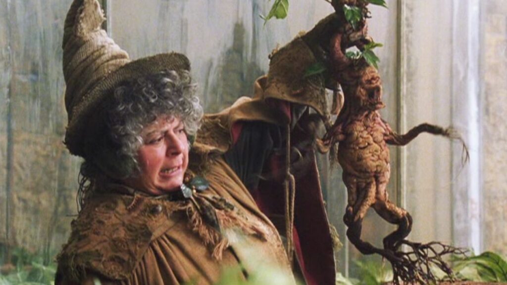 Le professeur Pomona Chourave dans la saga Harry Potter.
