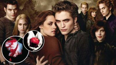 Twilight : aviez-vous repéré ces références directes aux livres cachées dans les films ?
