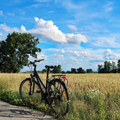 Une balade en vélo