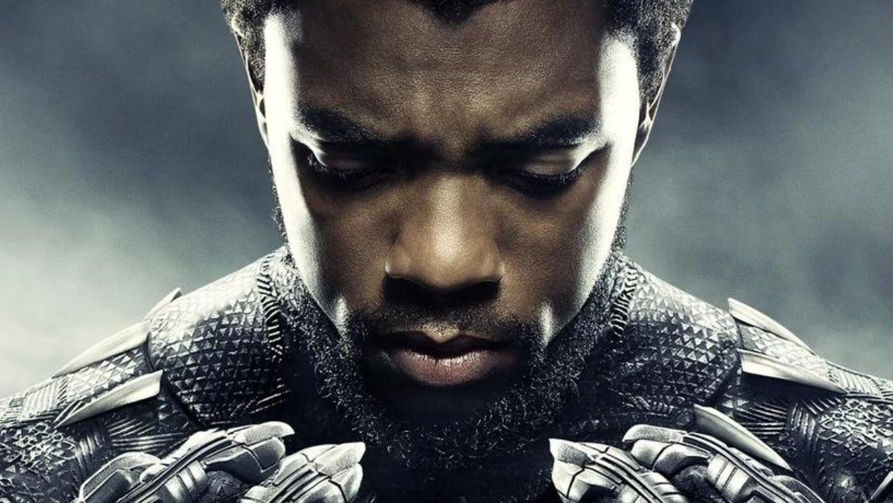 Les griffes de Black Panther de T'Challa / la Panthère noire (Chadwick  Boseman) dans Black Panther