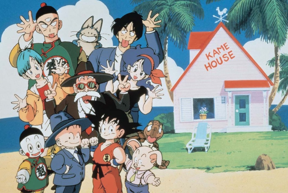 Quiz Dragon Ball : ton mois de naissance te dira quel personnage tu es
