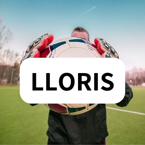 Lloris