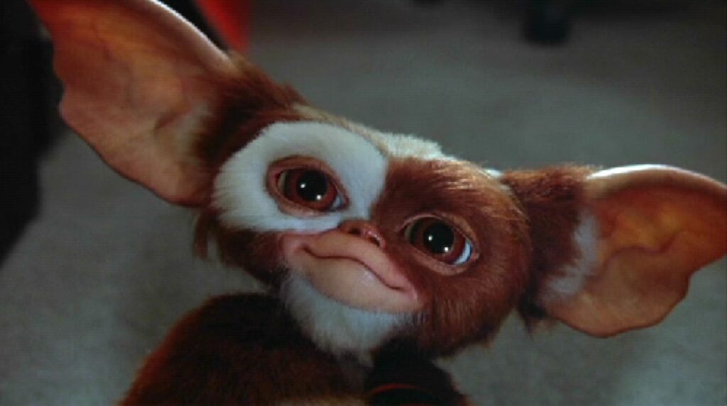 Image du film Gremlins.