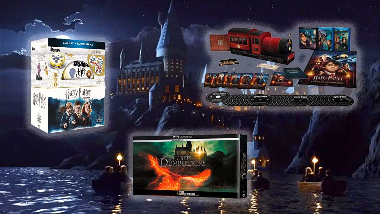 harry-potter-les-animaux-fantastiques-dvd-bluray