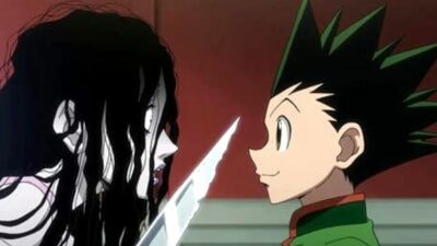 Quiz Hunter x Hunter : choisis une couleur, on te dira comment tu meurs dans l'anime