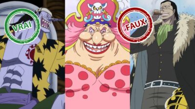 One Piece : seul un vrai aura 10/10 à ce quiz vrai ou faux sur les méchants de l’anime