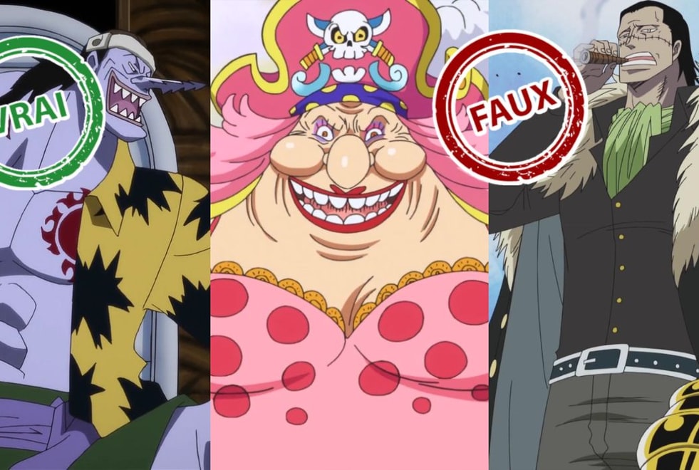 One Piece : seul un vrai fan aura 10/10 à ce quiz vrai ou faux sur les méchants de l’anime
