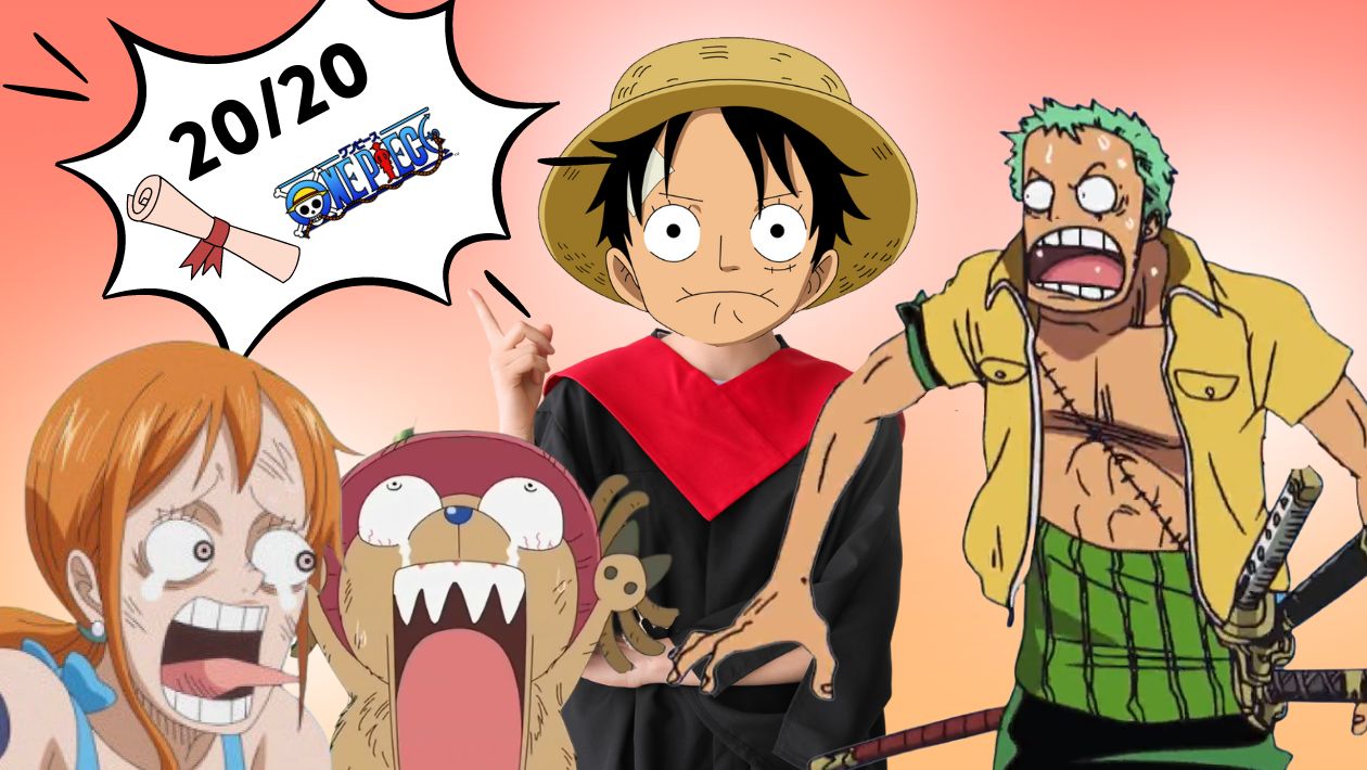Personne n&rsquo;a jamais eu 20/20 à ce bac spécial One Piece