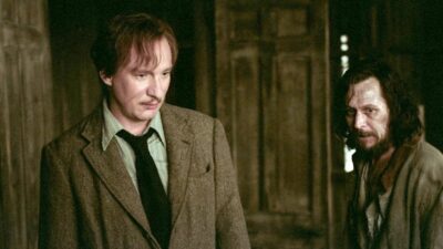Harry Potter : cette théorie sur la mort de Sirius et Lupin qui va vous briser le coeur