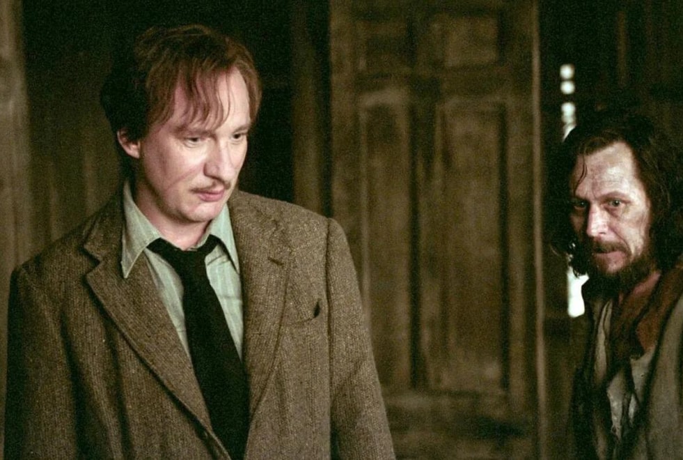 Harry Potter : cette théorie sur la mort de Sirius et Lupin qui va vous briser le coeur