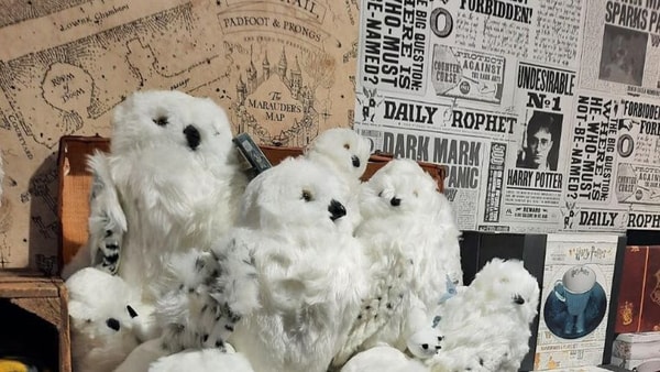 le repaire des sorciers, harry potter, boutique paris