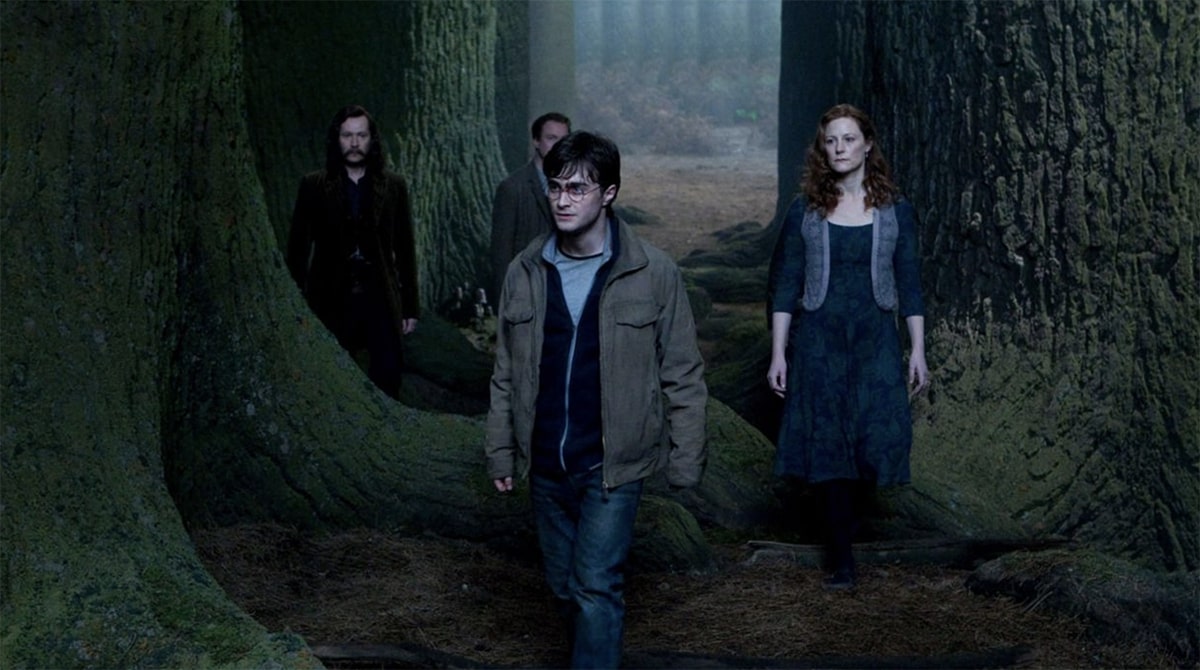 Harry et sa famille dans harry potter et les reliques de la mort partie 2