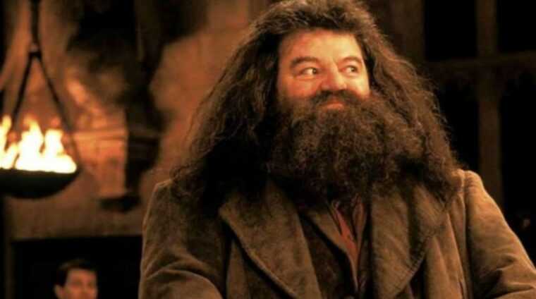 hagrid-harry-potter