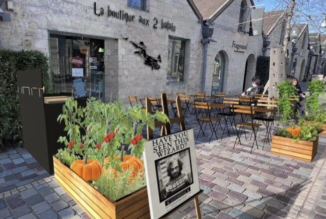 Harry Potter : un coffee shop avec sa boutique immersive va ouvrir à Paris