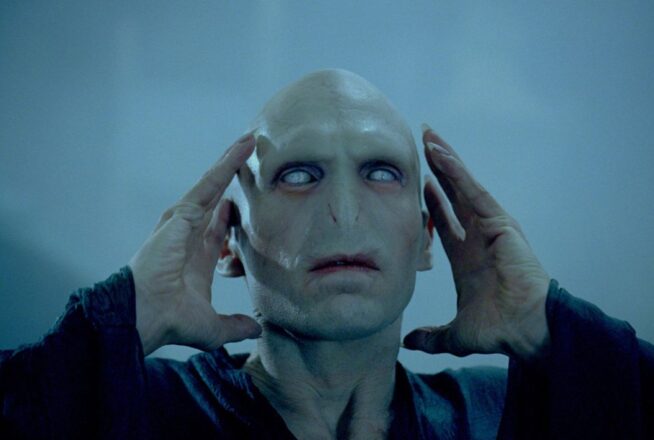 Harry Potter : cette théorie dégoûtante sur Voldemort va vous empêcher de dormir