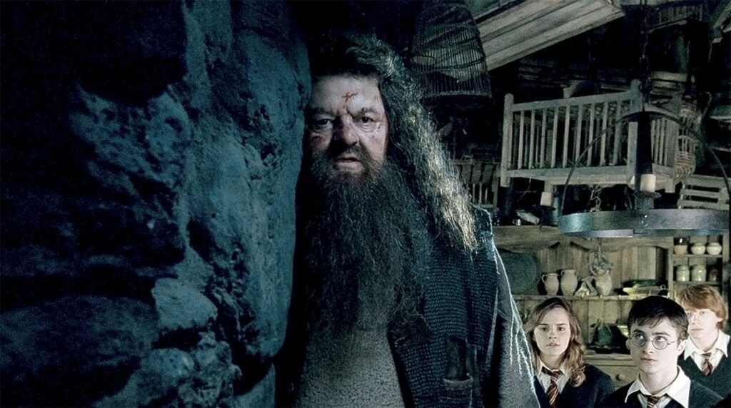 harry potter et l'ordre du phenix hagrid