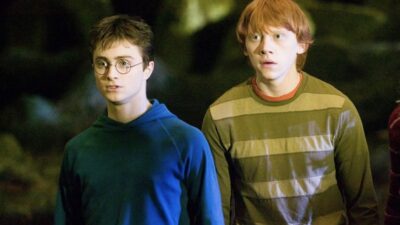 Harry Potter : seul un vrai fan aura 15/20 ou plus à ce quiz sur Harry et Ron