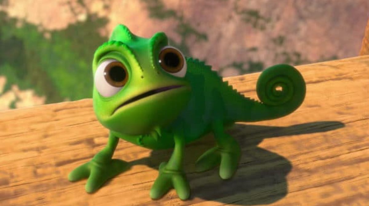 pascal-raiponce