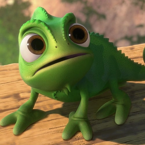 Pascal