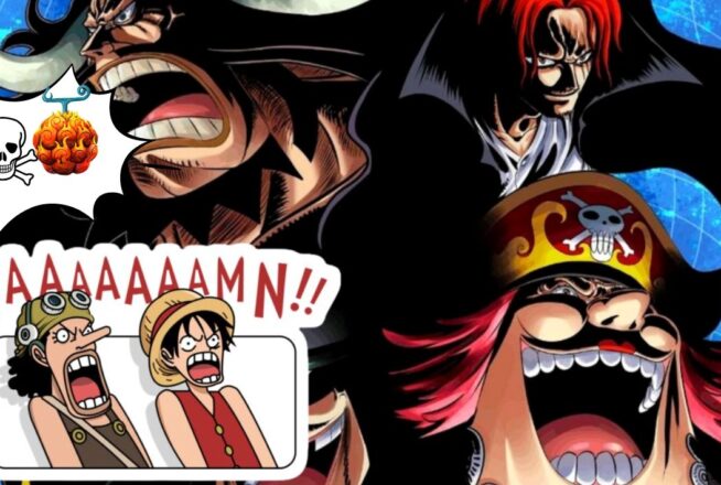 Quiz One Piece : choisis un fruit du démon on te dira qui te tue