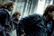 Harry Potter et les Reliques de la Mort : le quiz le plus dur du monde sur les parties 1 et 2