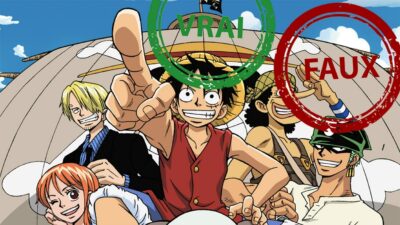 Quiz One Piece : seul un fan aura 5/5 à ce Vrai ou Faux sur l'anime