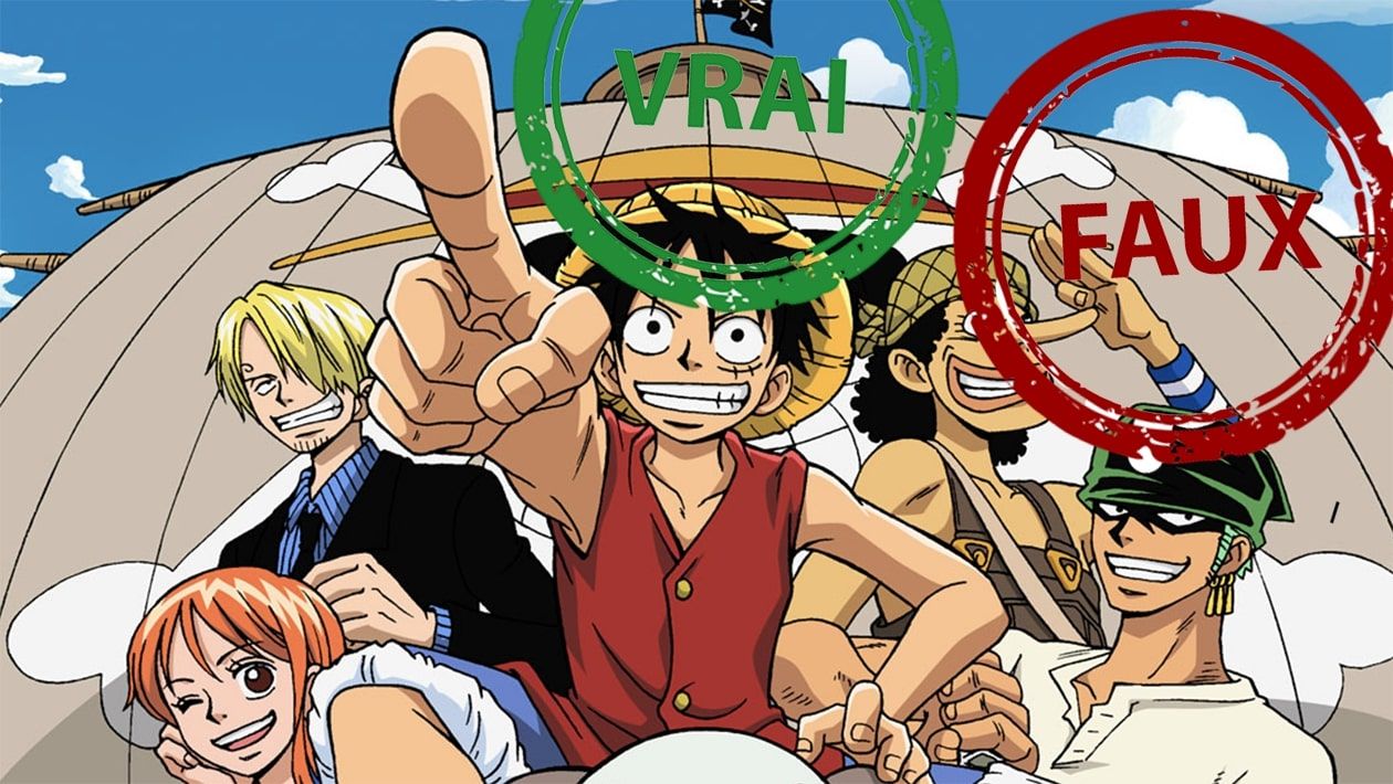 Quiz One Piece : seul un fan aura 5/5 à ce Vrai ou Faux sur l'anime