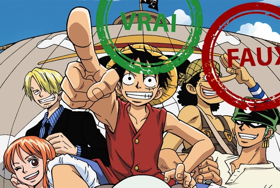 Quiz One Piece : seul un fan aura 5/5 à ce Vrai ou Faux sur l’anime