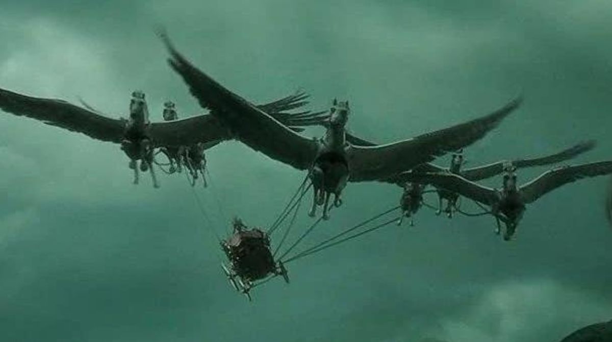 carrosse-beauxbatons-harry-potte