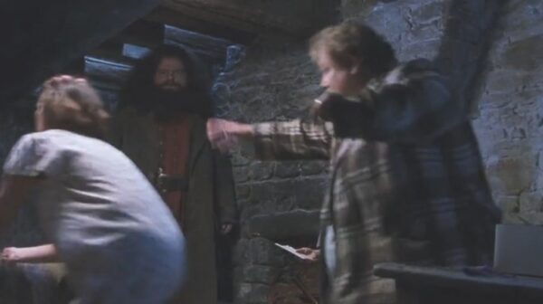 harry-potter-doublure-1