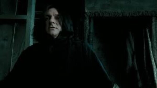 harry-potter-doublure-2