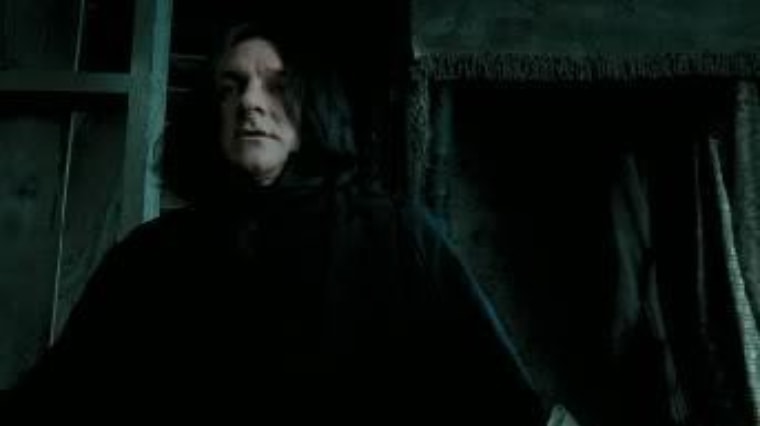 Harry Potter Severus Rogue doublure