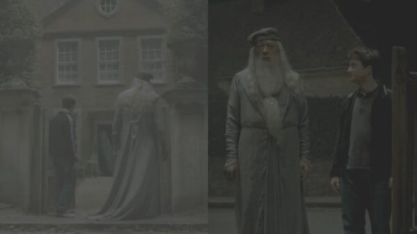 harry-potter-doublure-4