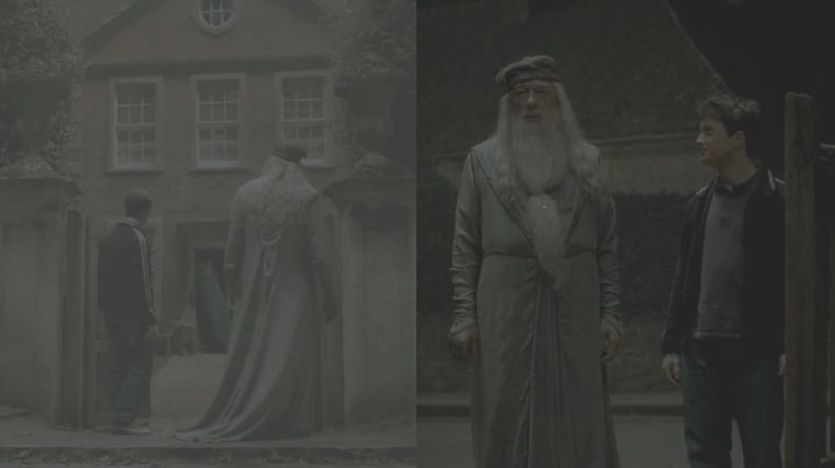 Harry Potter et le prince de sang-mêlé Dumbledore doublure