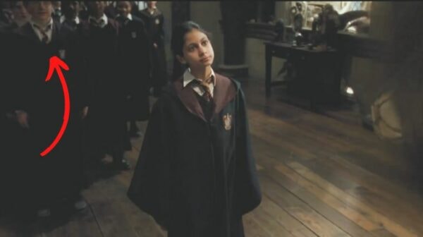 harry-potter-doublure-5