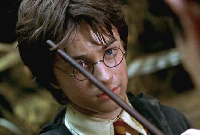 Harry Potter : seul un fan ultime aura plus de 5/10 à ce quiz sur le perso