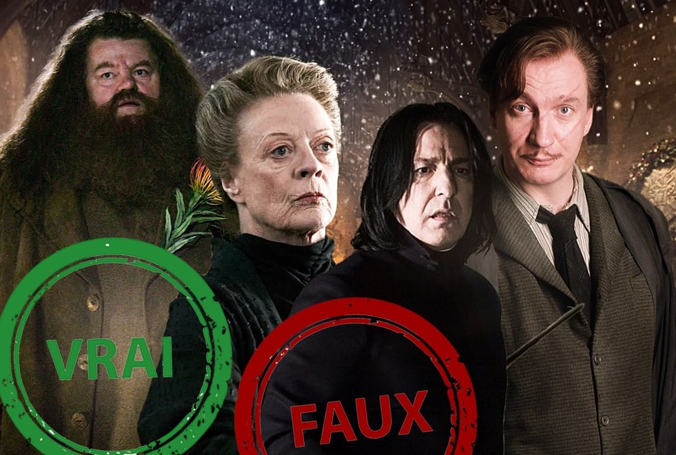 Harry Potter : seul un vrai sorcier aura 10/10 à ce quiz vrai faux sur les profs de Poudlard