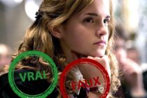 Harry Potter : seul un fan aura 15/20 ou plus à ce quiz vrai ou faux sur Hermione