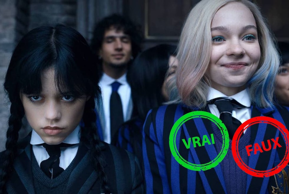 Mercredi : seul un fan aura 10/10 à ce quiz vrai ou faux sur la série