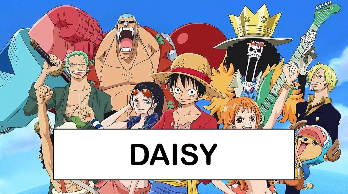 ONE PIECE© 1999 Toei Animation Co., Ltd. © Eiichiro Oda/Shueisha