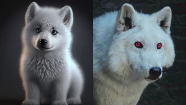 game of thrones, version enfant, fantôme