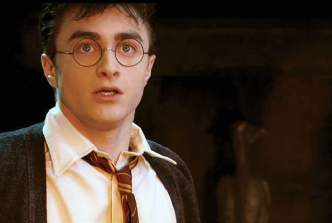 Quiz : choisis un perso de Harry potter, on devinera le film de la saga que tu détestes