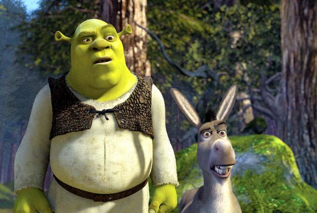 Quiz : donne 3 infos sur toi, on te dira si t&rsquo;es Shrek ou l&rsquo;Âne
