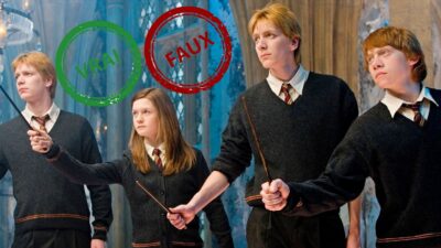 Harry Potter : impossible d'avoir 5/5 à ce quiz vrai ou faux sur la famille Weasley