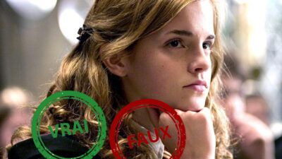 Harry Potter : seul Ron aura 5/5 à ce quiz vrai ou faux sur Hermione