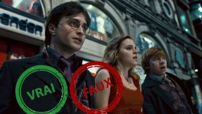 Quiz : seul un fan aura 10/10 à ce quiz vrai ou faux sur Harry, Ron et Hermione