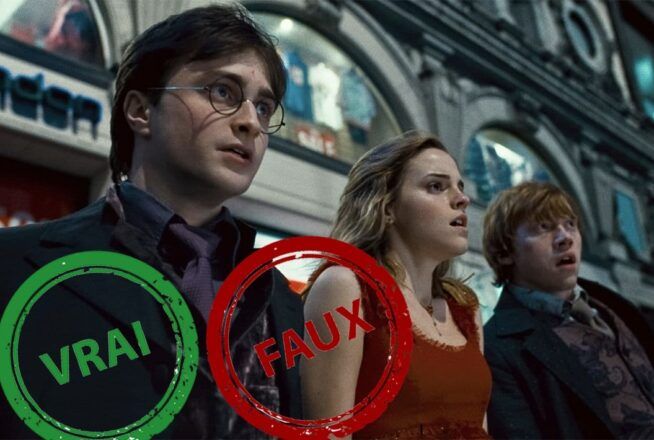 Quiz : seul un fan aura 10/10 à ce quiz vrai ou faux sur Harry, Ron et Hermione