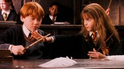 Quiz : dis-nous ton mois de naissance, on te dira quelle serait ta baguette magique dans Harry Potter