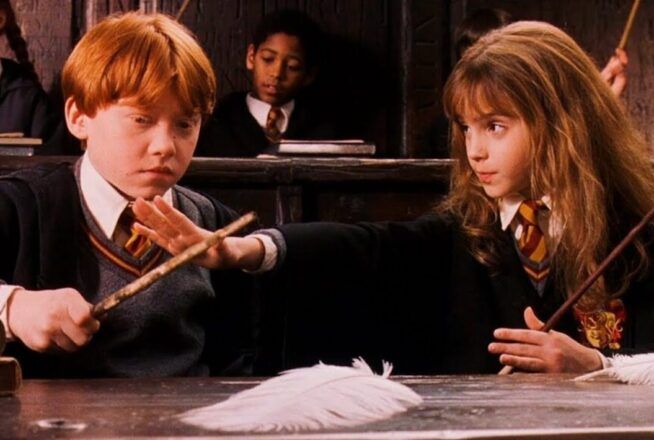 Quiz : dis-nous ton mois de naissance, on te dira quelle serait ta baguette magique dans Harry Potter