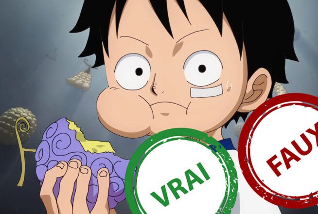 One Piece : seul un fan aura 5/5 à ce quiz vrai ou faux sur les Fruits du Démon
